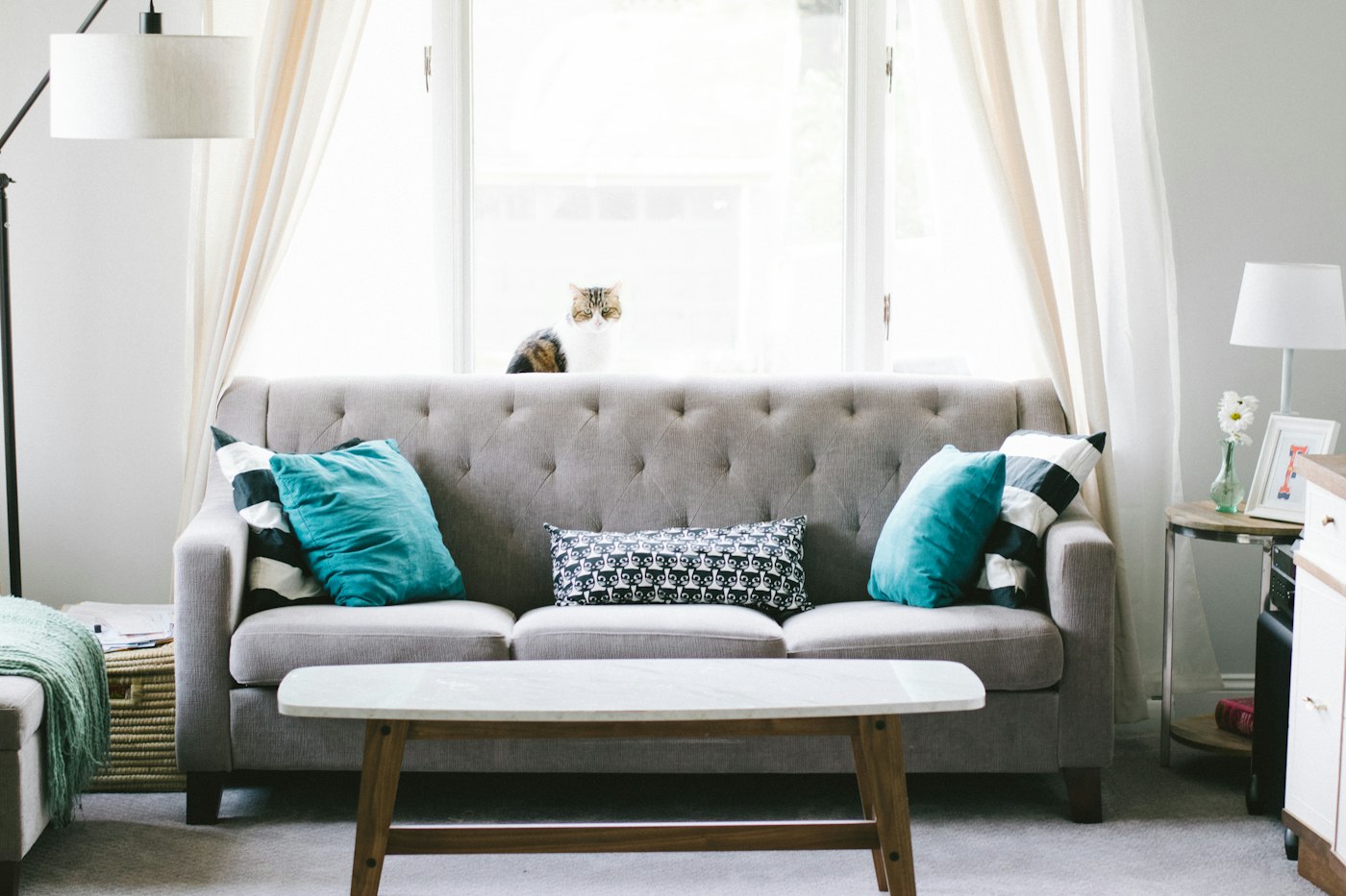 Grey buttoned sofa with teal cushions and a cat on the window sill behind it.